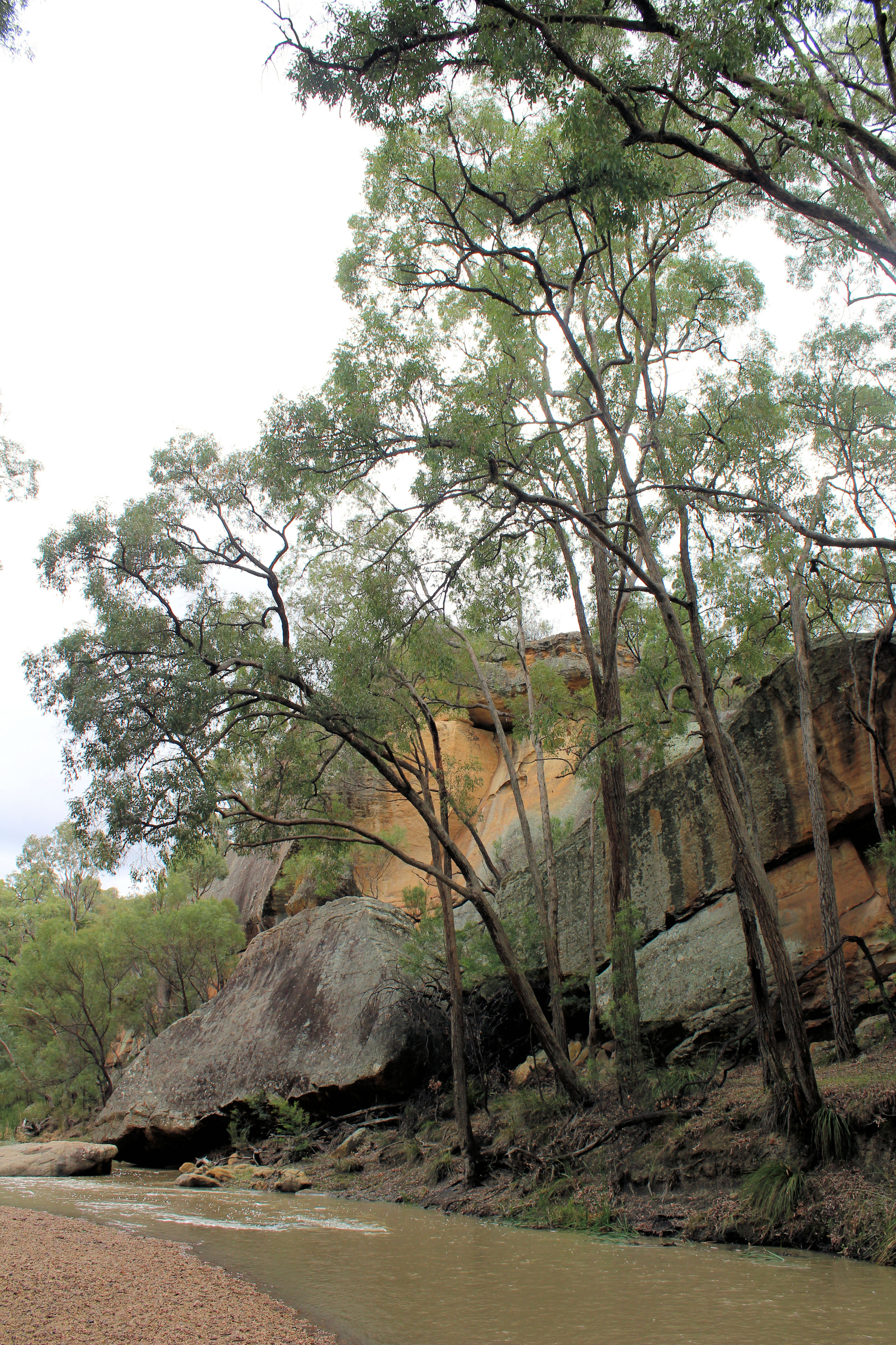 The Goulburn River in New South Wales, Australia