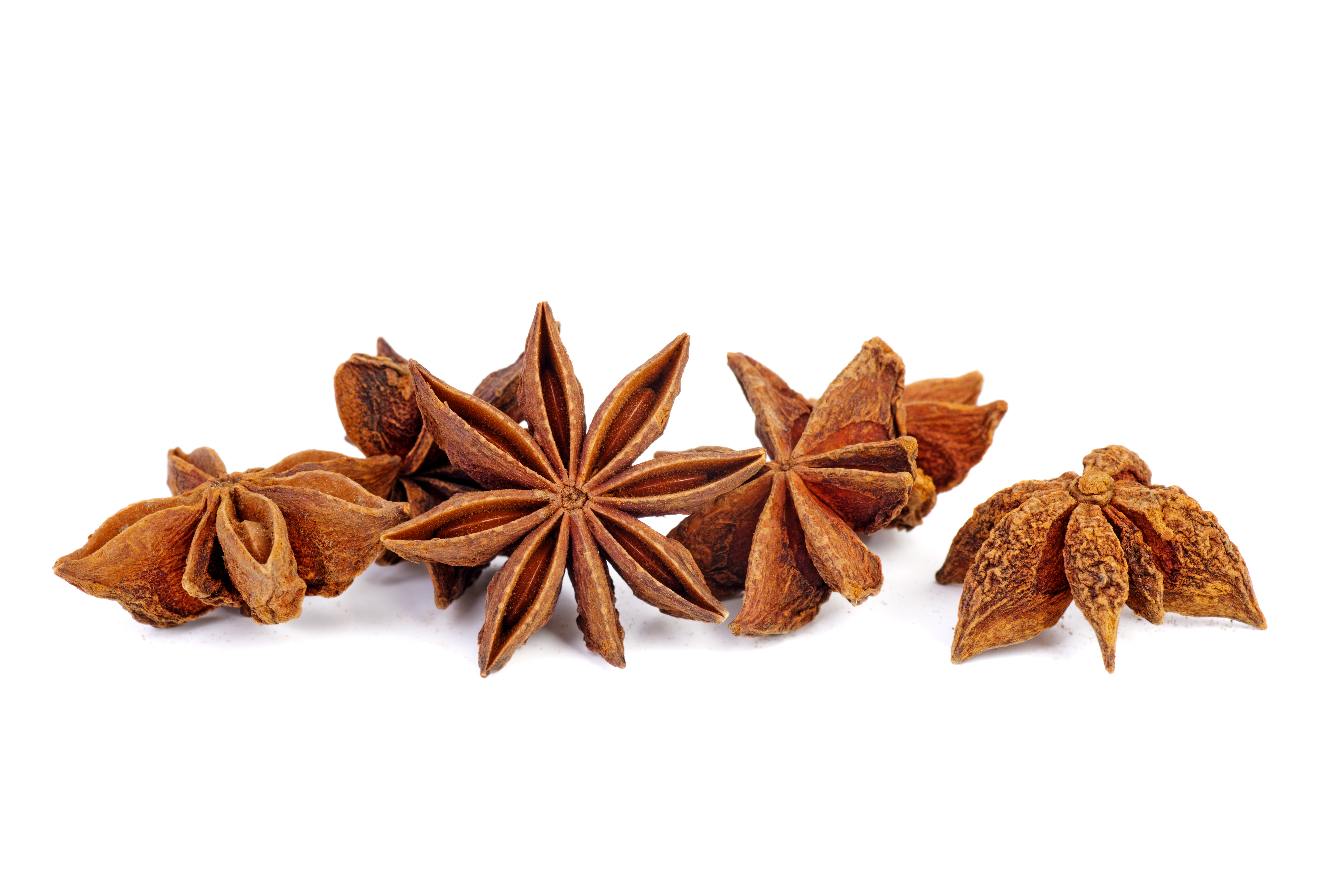 Dried star-anise