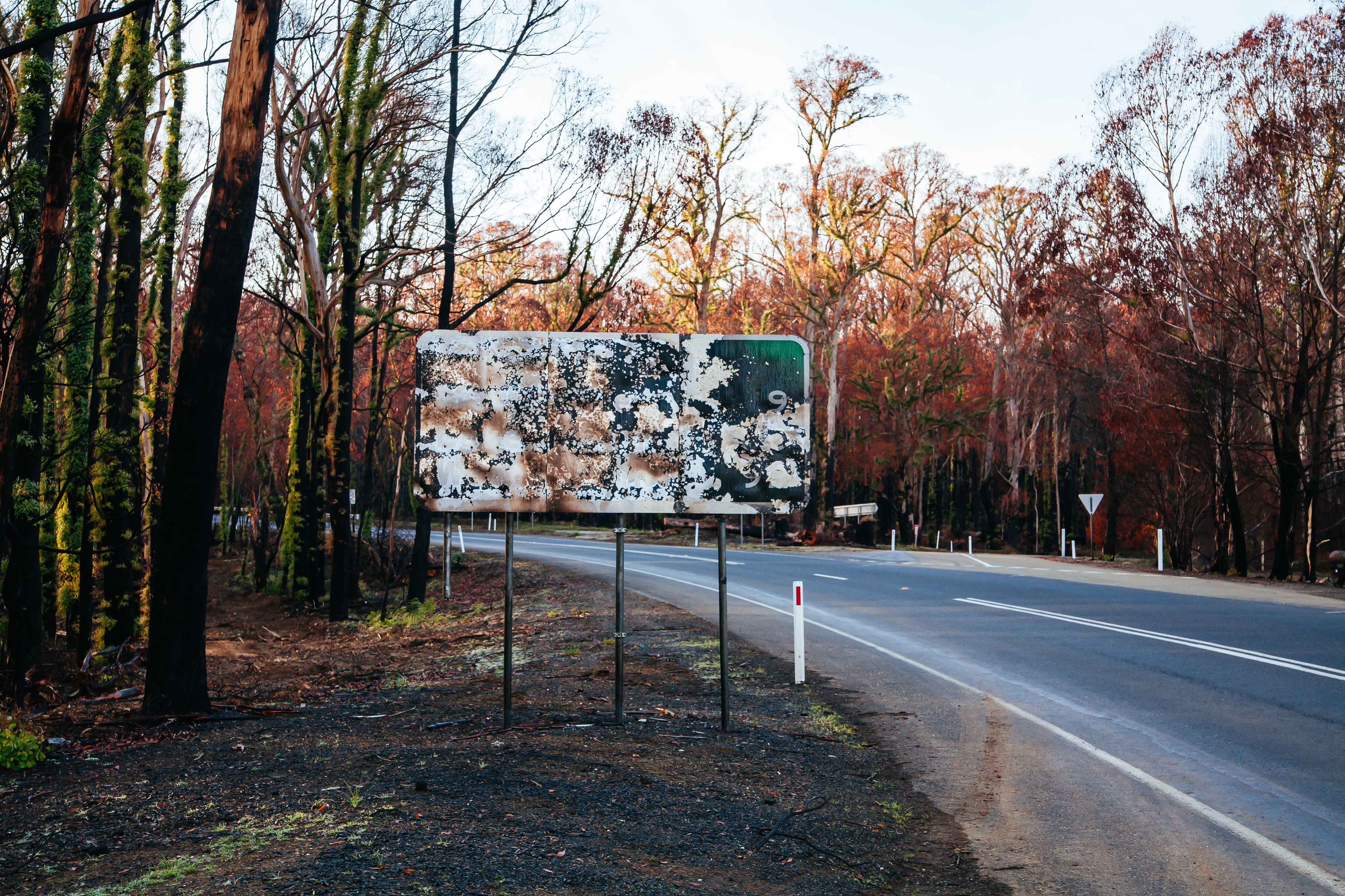 Aftermath of Black Saturday bushfires near Marysville, Australia