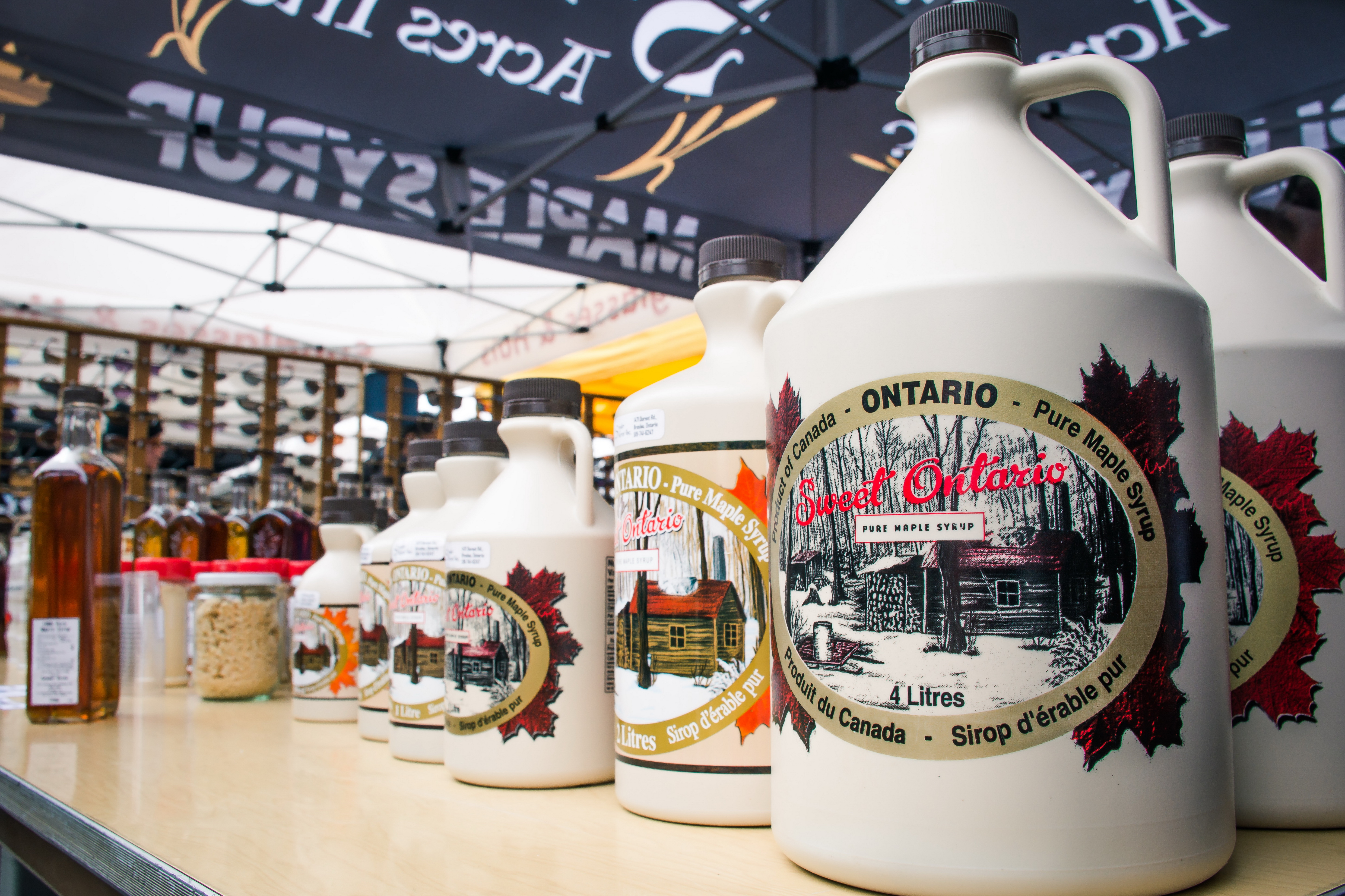 Jugs of maple syrup for sale in Canada