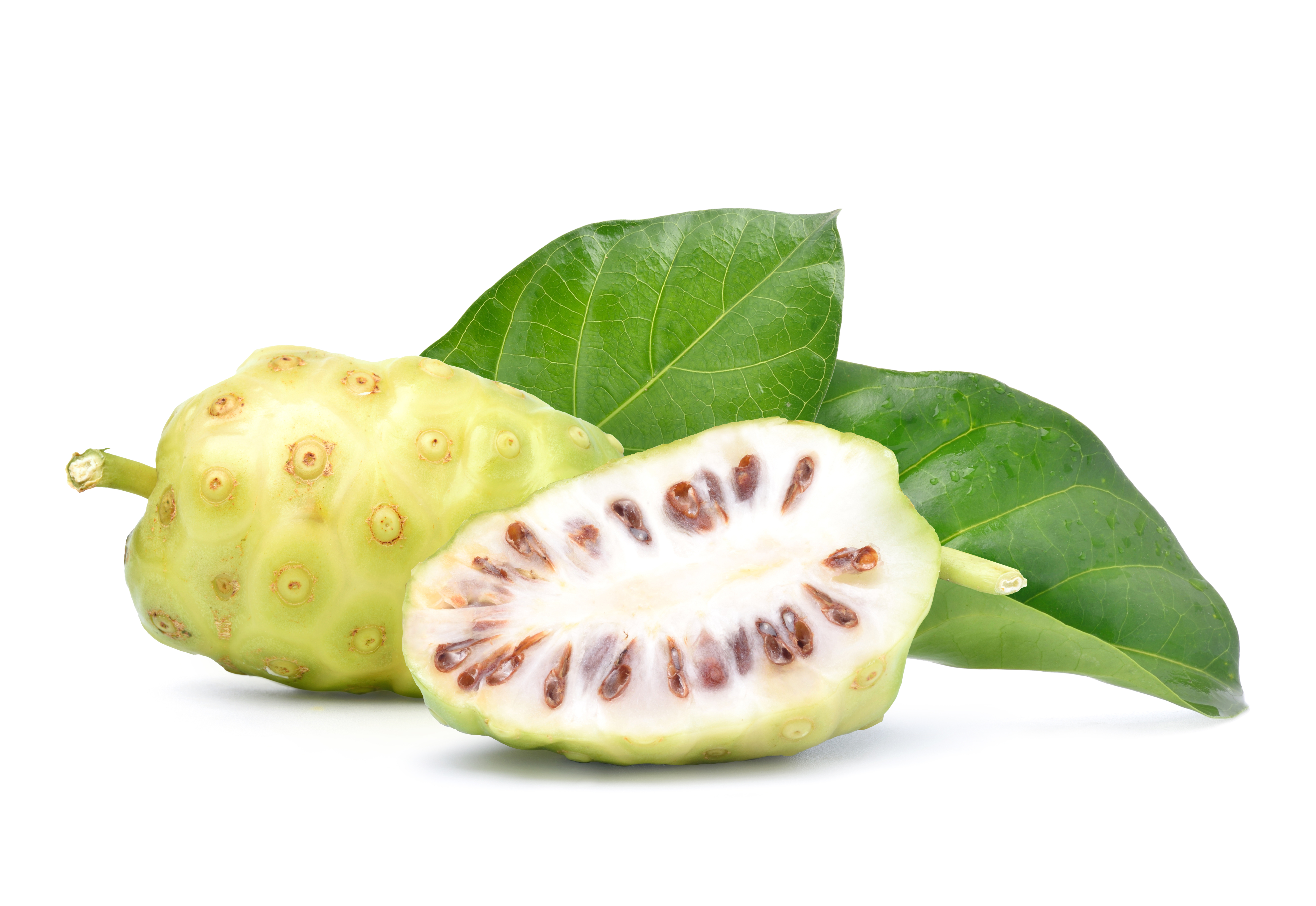 Noni