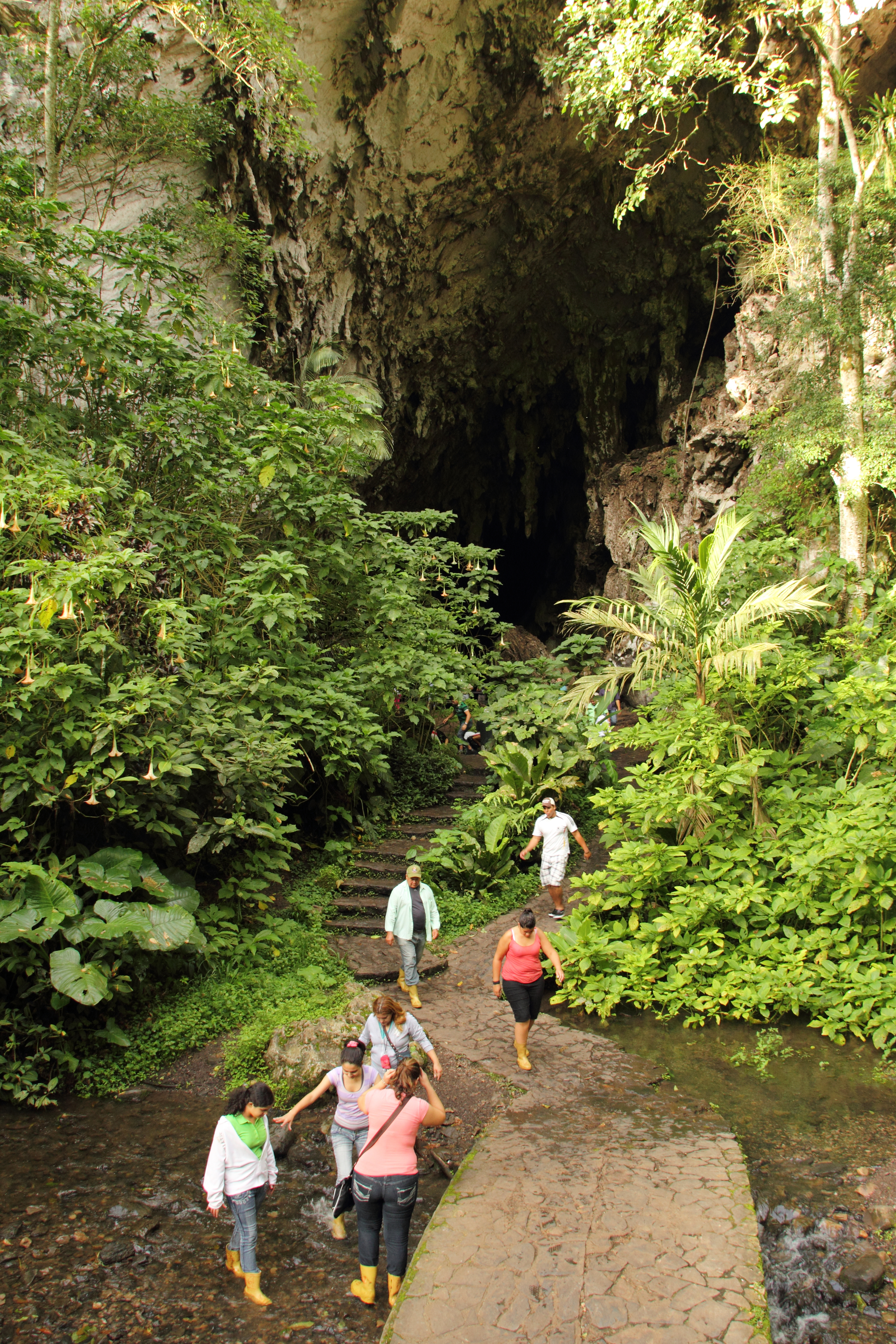 Cave of the Guácharo, Venezuela