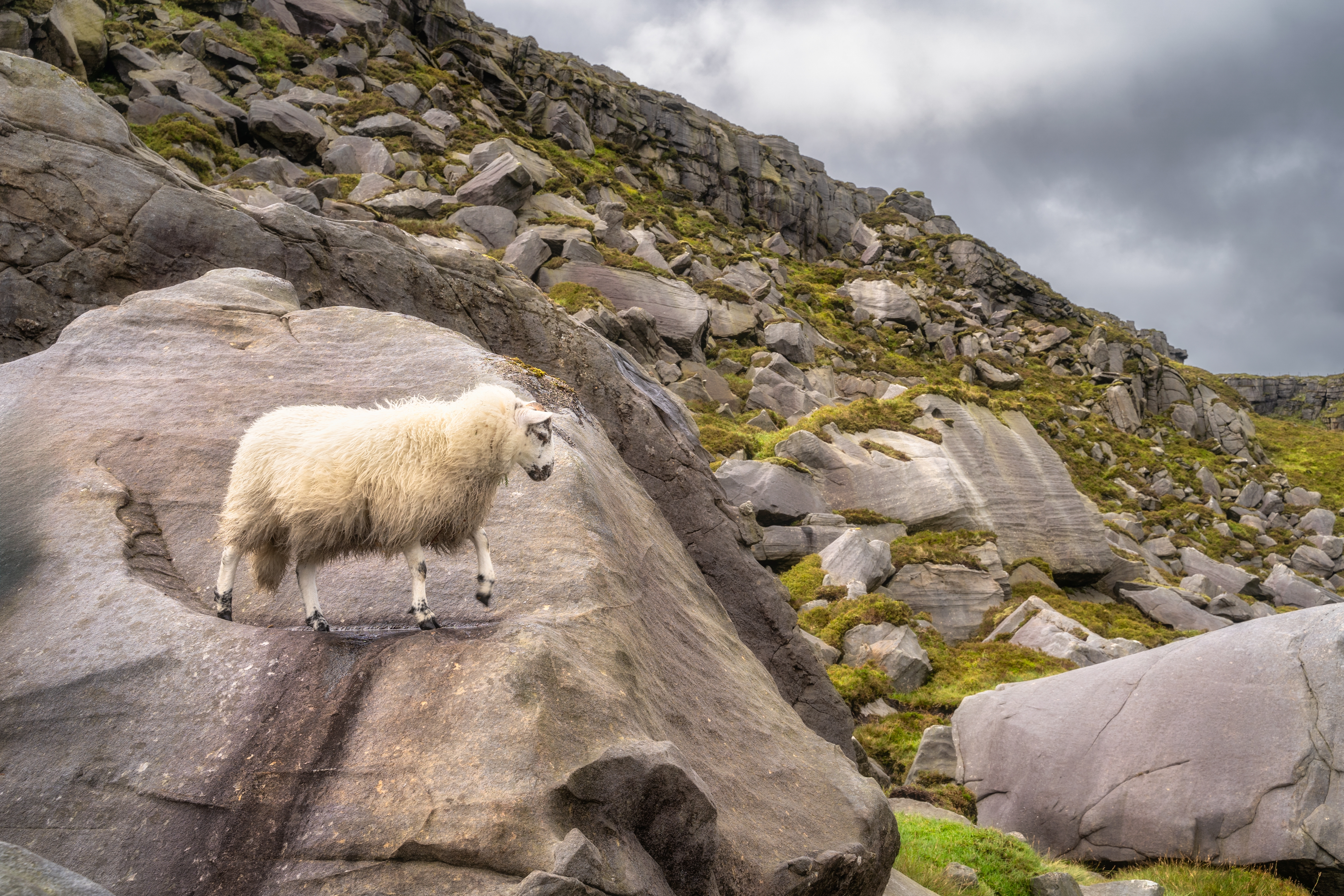 Cuilcagh Mountain Park, Northern Ireland