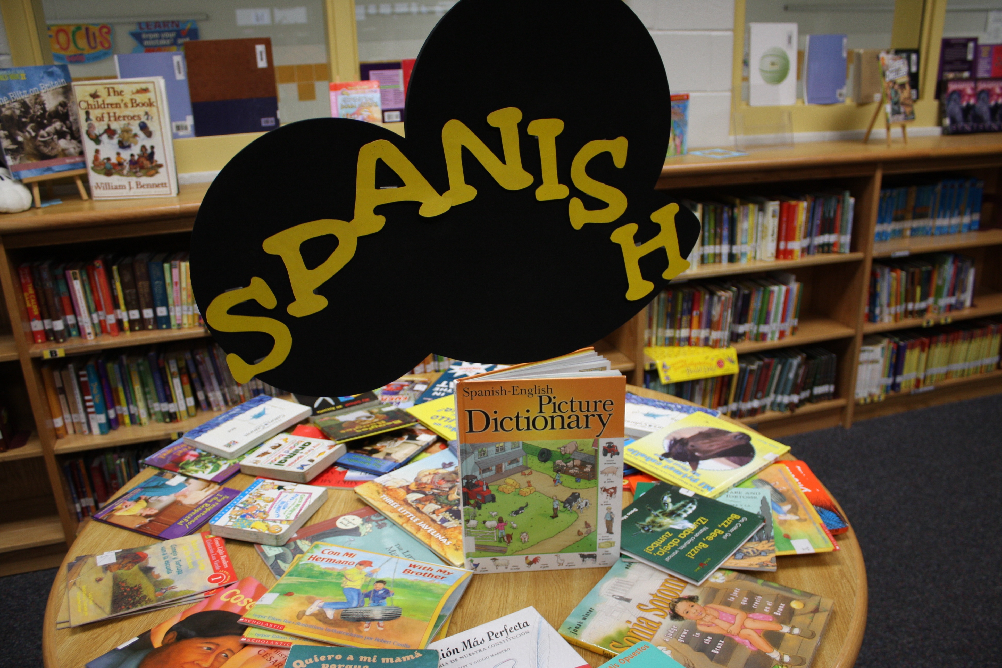 Spanish-language books in a library