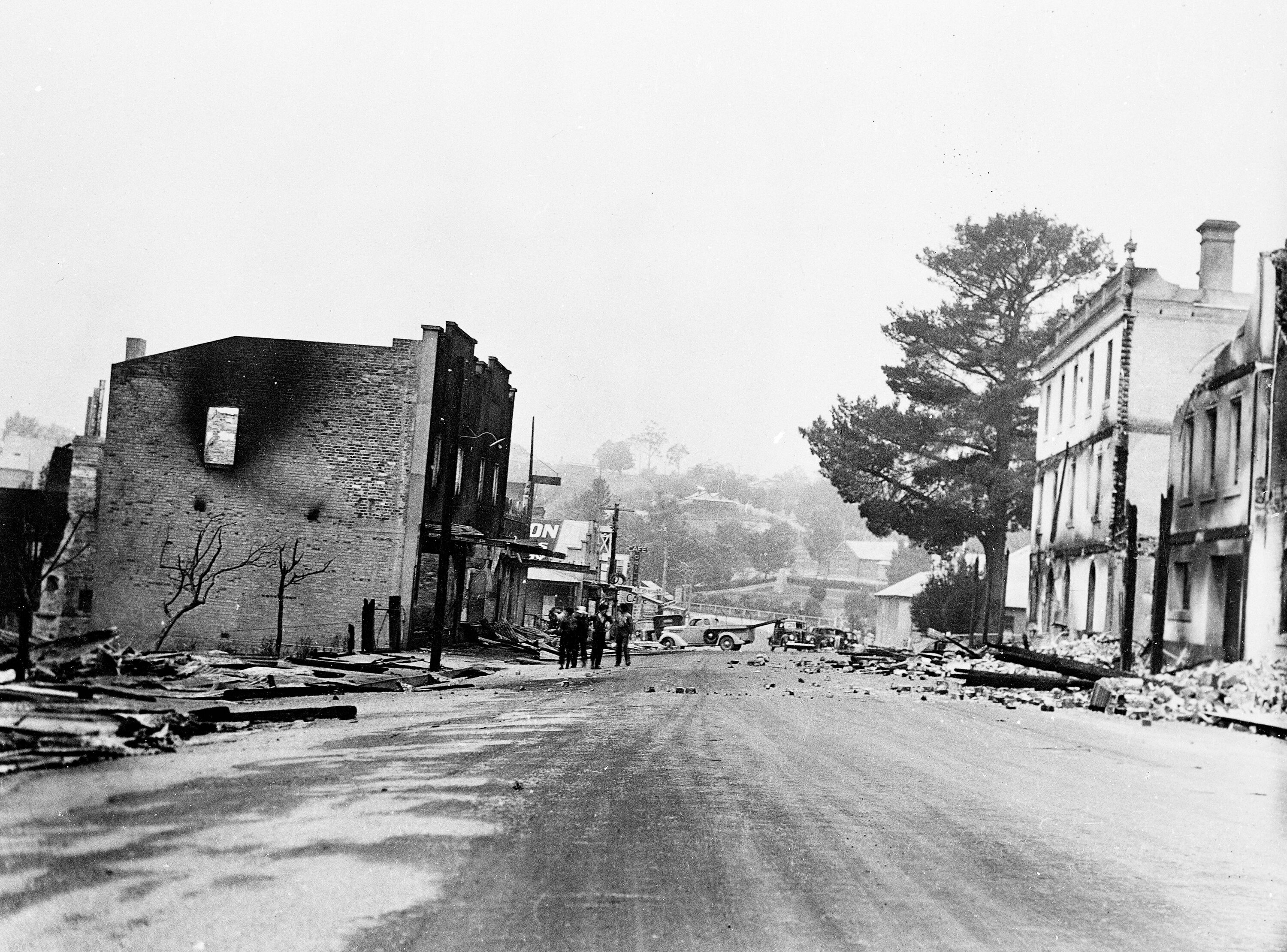 Fire damage from the Black Friday bushfires in Victoria, Australia